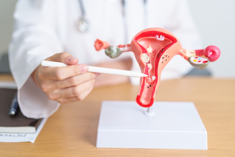 Menopause Specialist Clinics | Expert Care & Support