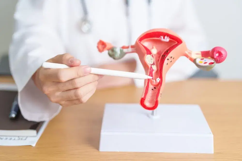 Specialist demonstrating the female reproductive system during an online consultation