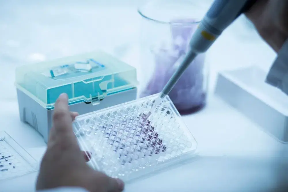 Laboratory equipment used for hormone and health biomarker analysis